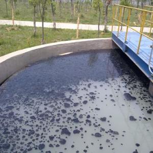 Why does the sludge in the secondary settling tank float up