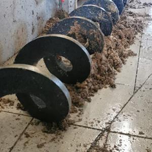 Transportador de tornillo robusto